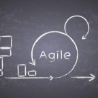 Agile Strategies for Managing Bugs