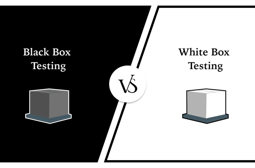  Processes, Techniques, and Operations: How To Differentiate White Box and Black Box Testing?