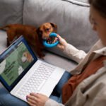 Pet Parents Buy CBD Dog