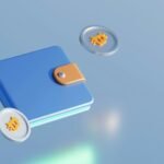 Digital Wallets Explained