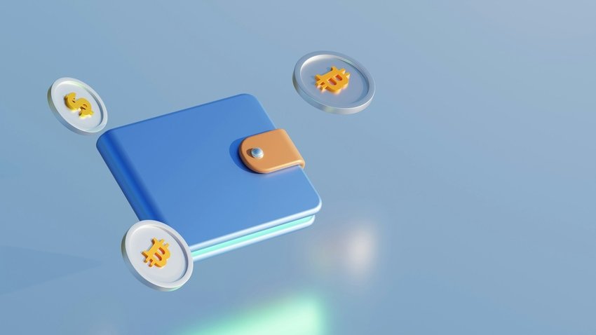 Digital Wallets Explained