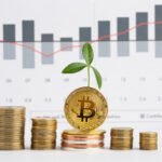 RobTheCoins Investing