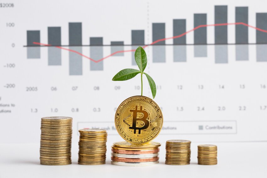 RobTheCoins Investing